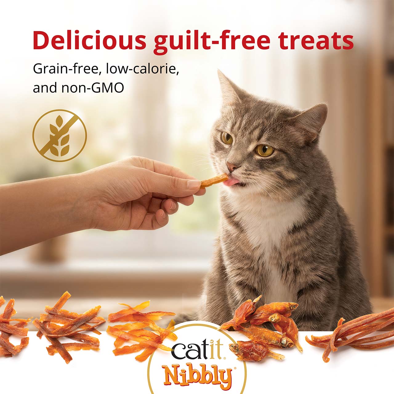 A person feeds a Catit Nibbly treat to a tabby cat, highlighting that the treats are grain-free, low-calorie, and non-GMO