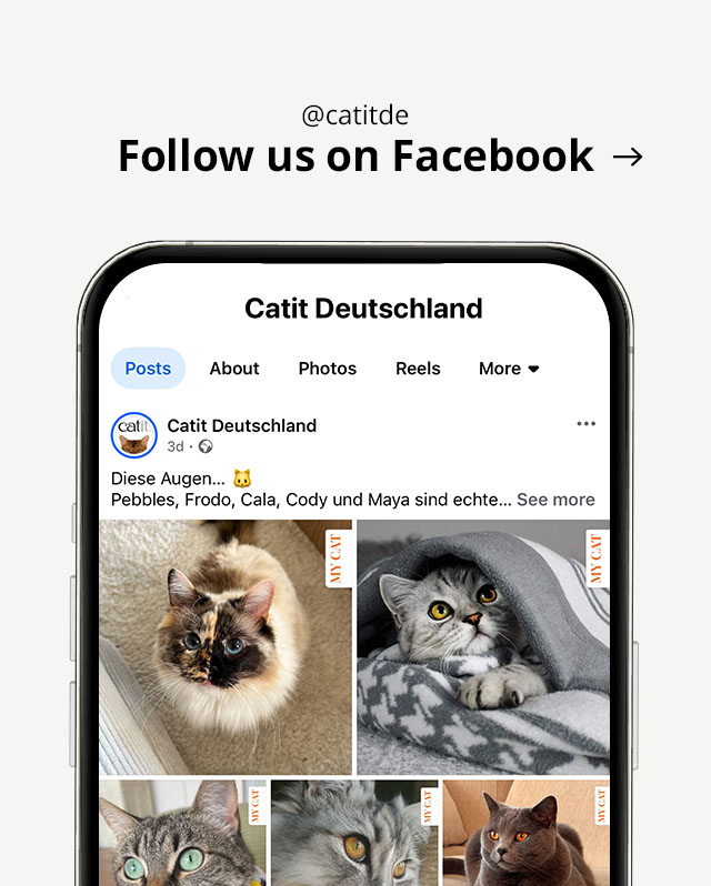Visit @catitde on facebook