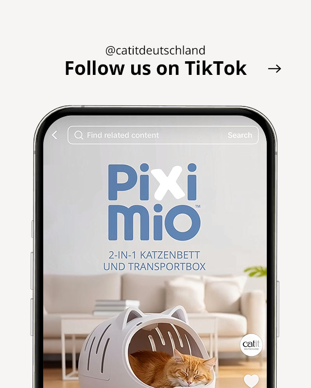 Visit @catitdeutschland on TikTok