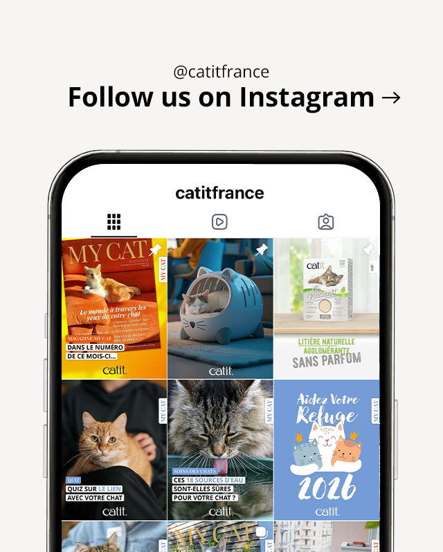 Visit @catitfrance on Instagram