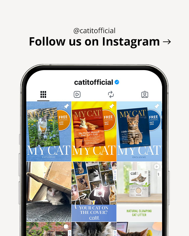 Visit @catitofficial on Instagram