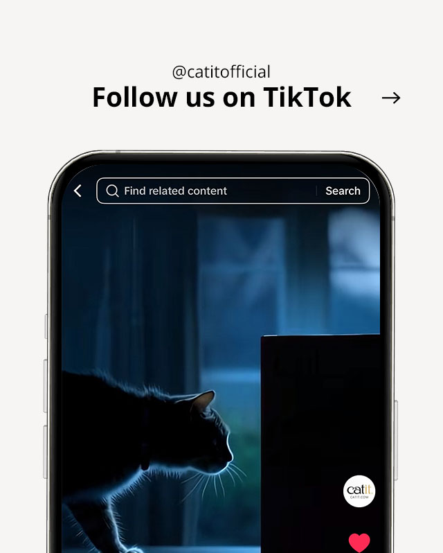 Visit @catitofficial on TikTok