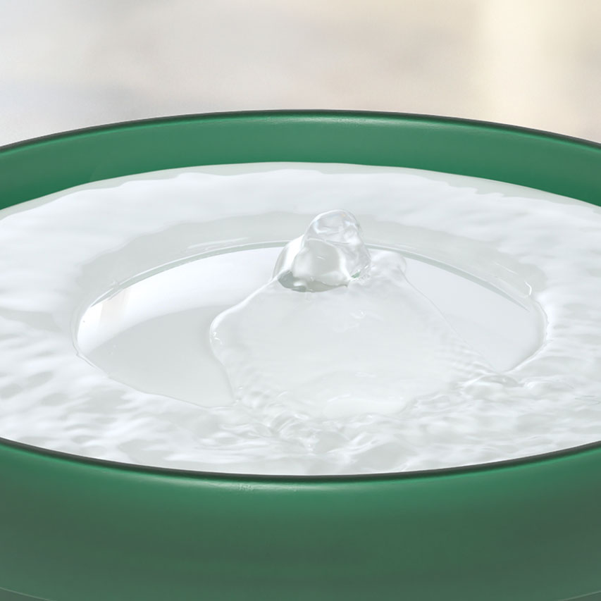 Water bubbling from the center of a green Catit PIXI fountain bowl