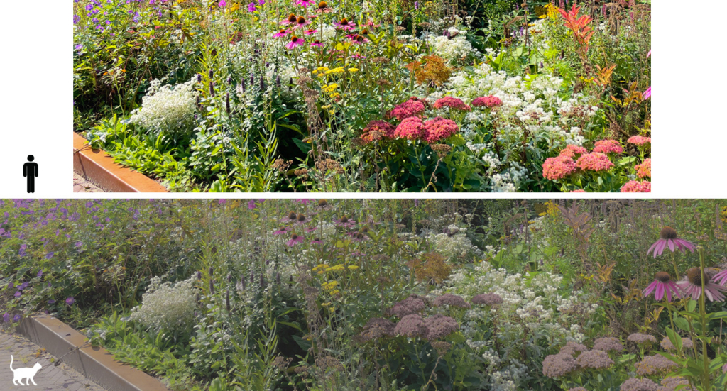 A split-screen comparison showing a vibrant, colorful garden above and a desaturated, muted version below