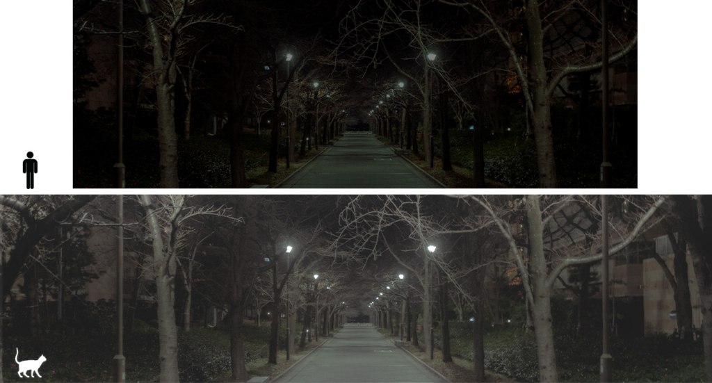 A comparison of a dark night scene labeled with a human icon and a brighter, more visible version labeled with a cat icon