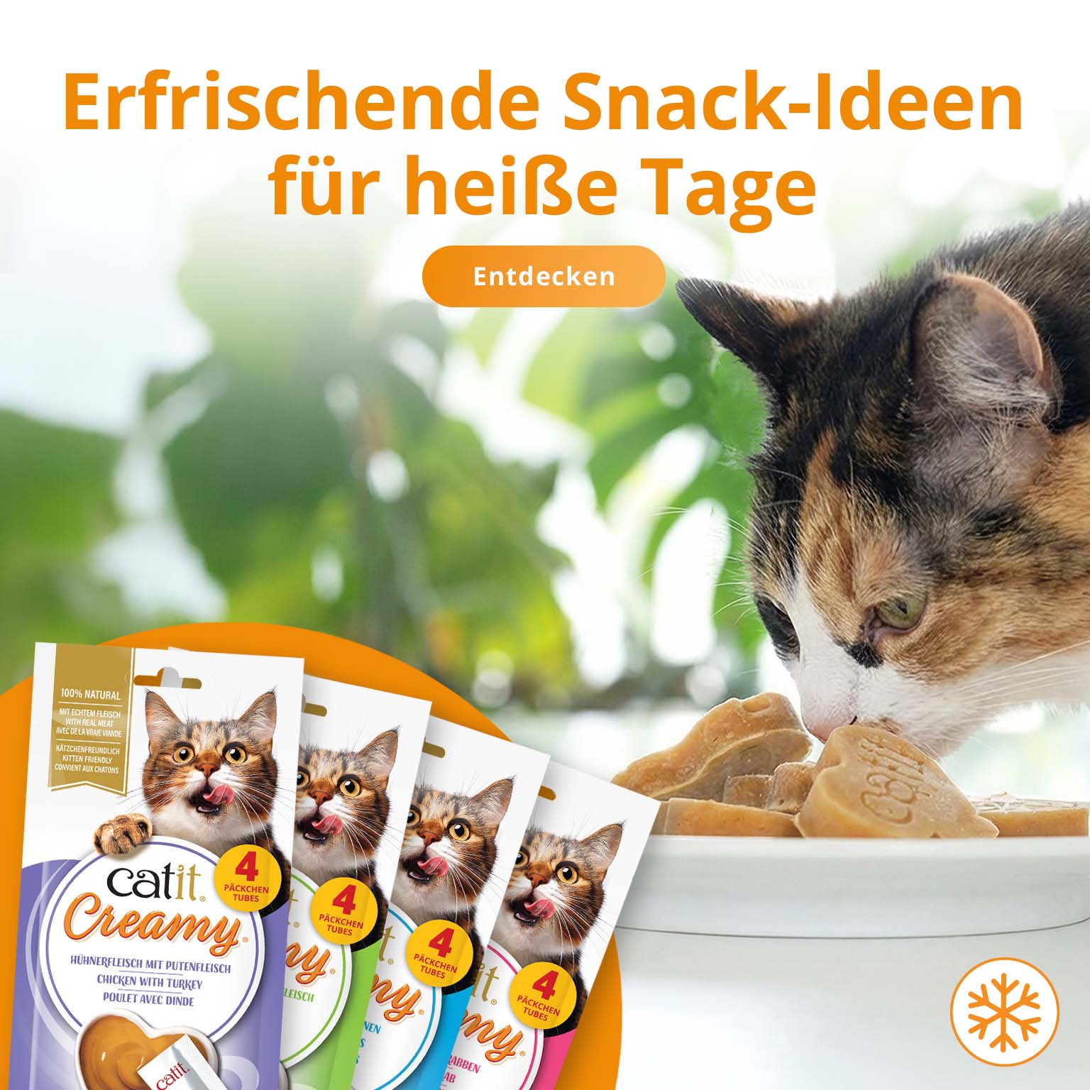 Katze frisst gefrorene Catit Creamy Herz-Leckerlis von einem Teller; in der linken Ecke sind vier Catit Creamy-Verpackungen zu sehen.