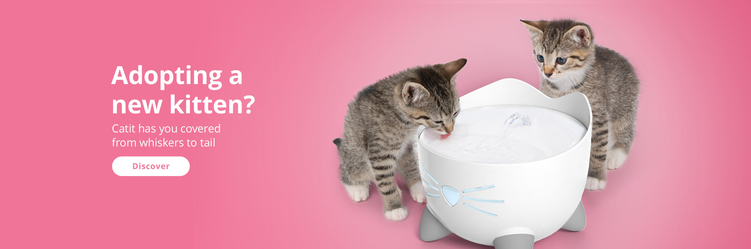 Promotional banner for new kitten owners featuring two kittens drinking from a Catit PIXI fountain with a Discover button