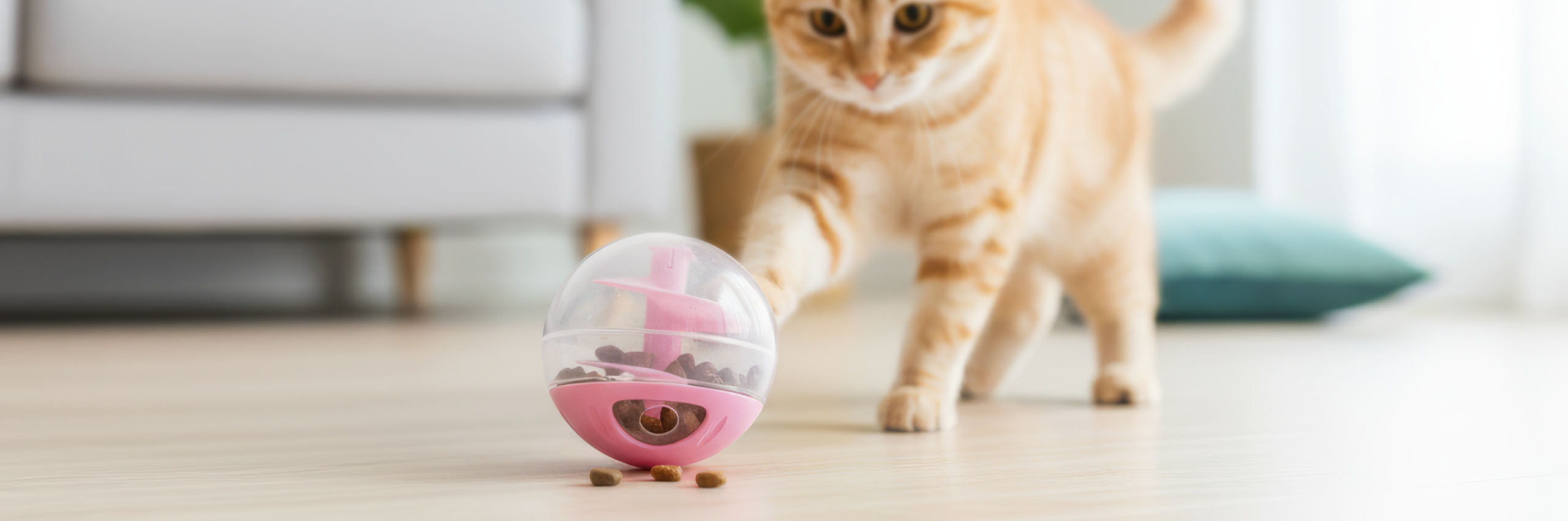 An orange tabby cat bats at a pink spherical treat-dispensing toy on a light-colored floor