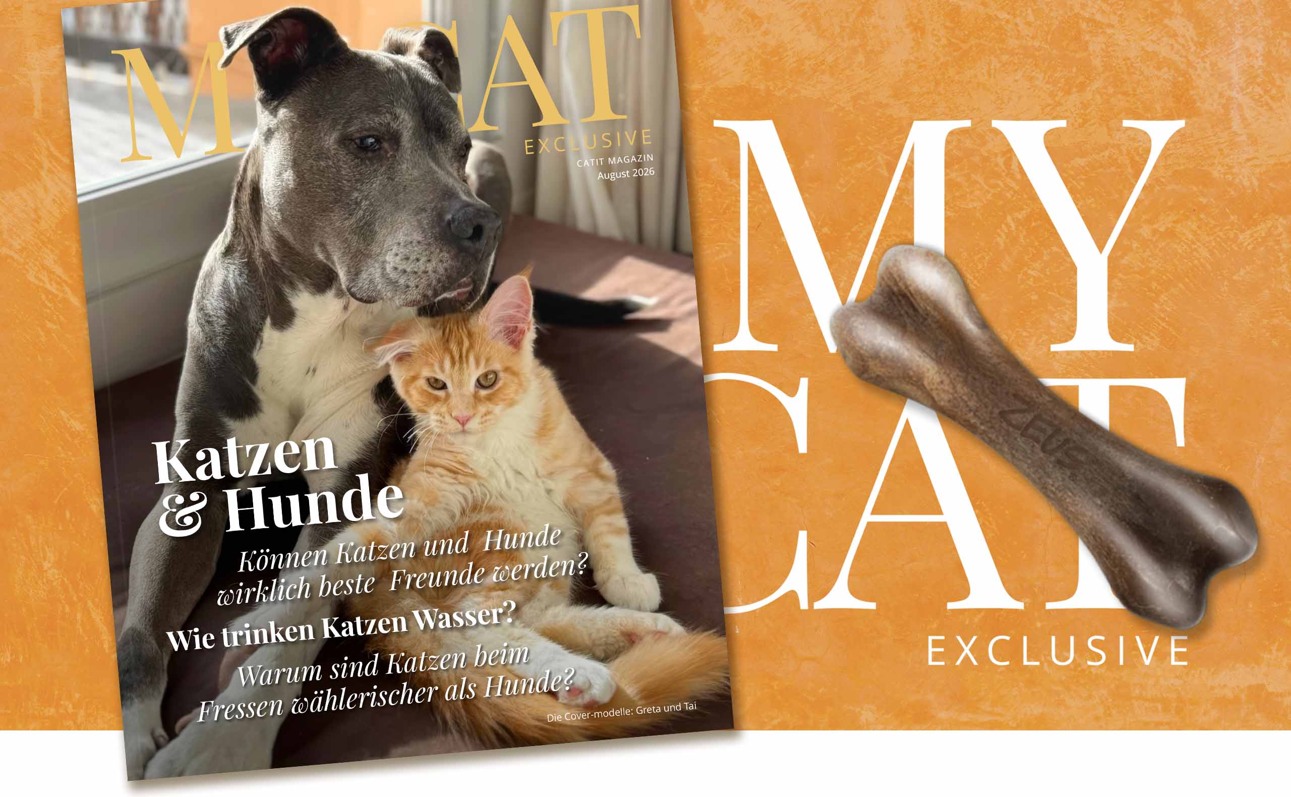 Banner zur Augustausgabe 2026 des My Cat Exclusive Magazins mit einer Katze und einem Hund auf dem Titel.