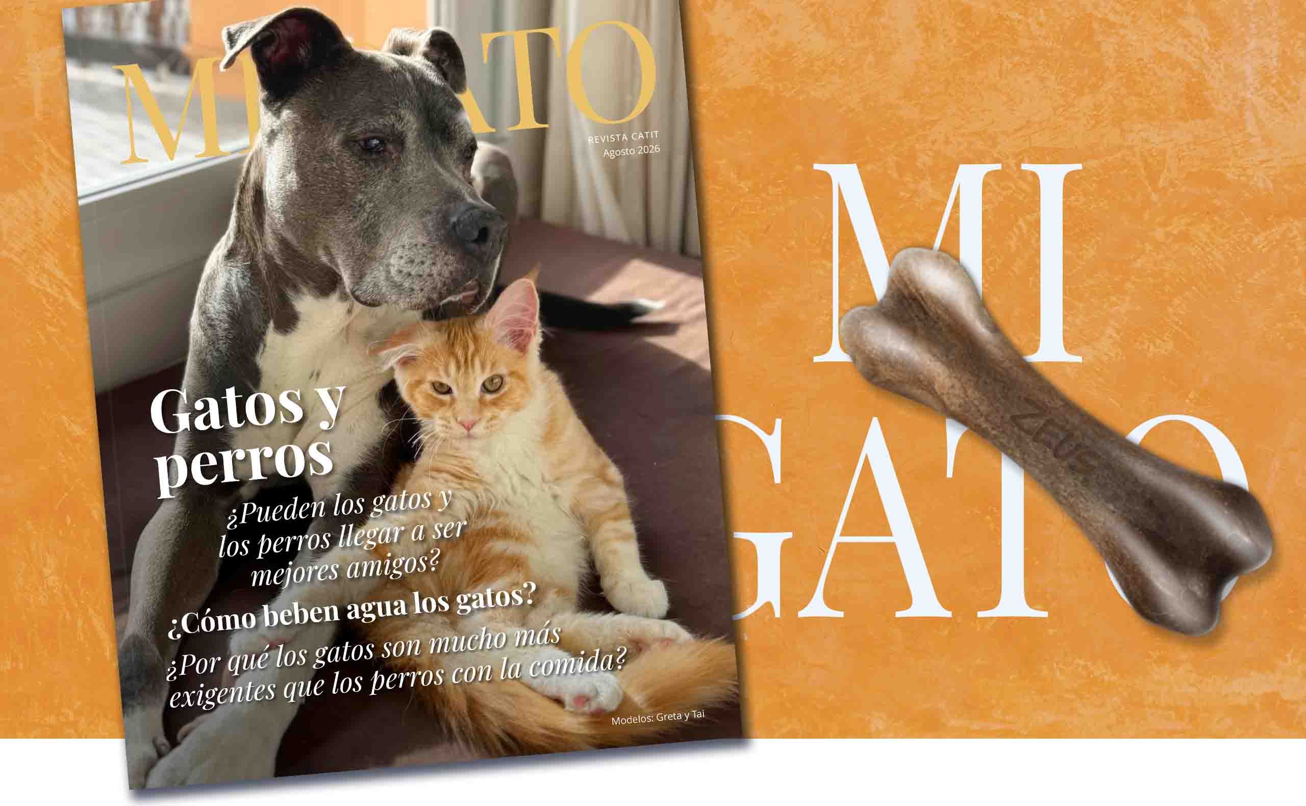 Banner de la edición de agosto de 2026 de la revista Mi Gato con un gato y un perro en la portada.