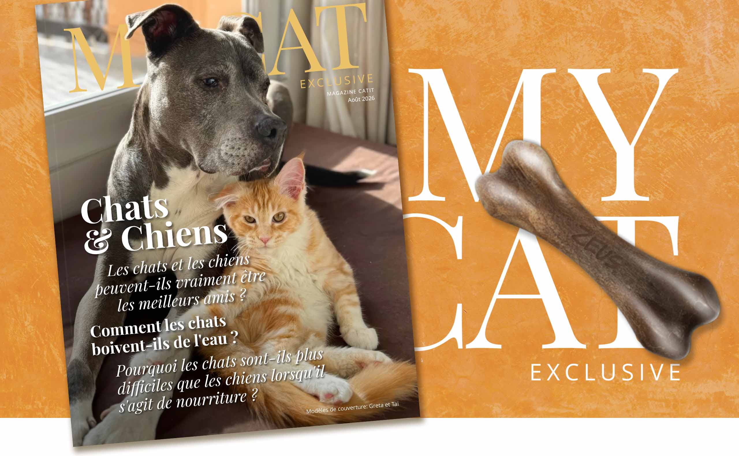 Bannière de l'édition d'août 2026 du magazine My Cat Exclusive avec un chat et un chien en couverture.