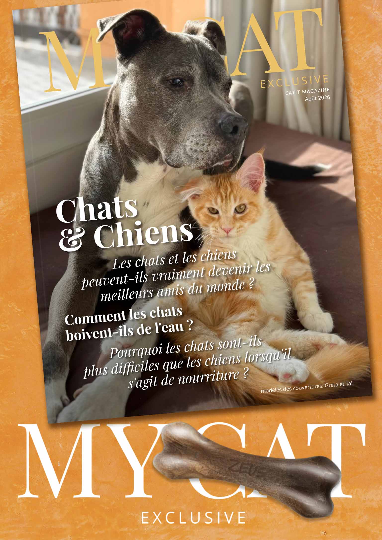 Bannière de l'édition d'août 2026 du magazine My Cat Exclusive présentant un chat et un chien en couverture.