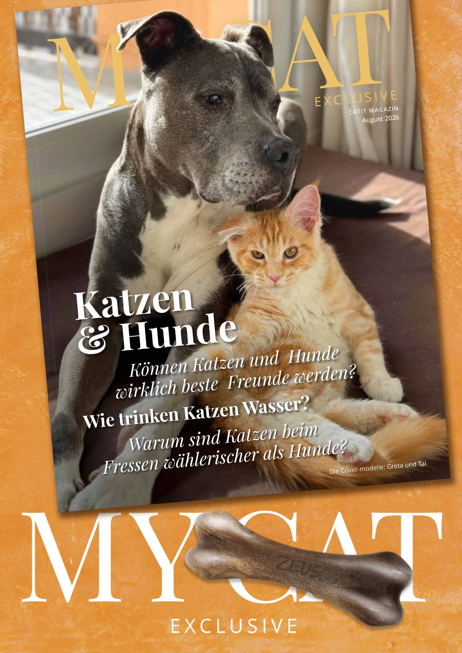 Banner zur Augustausgabe 2026 des My Cat Exclusive Magazins mit einer Katze und einem Hund auf dem Titel.