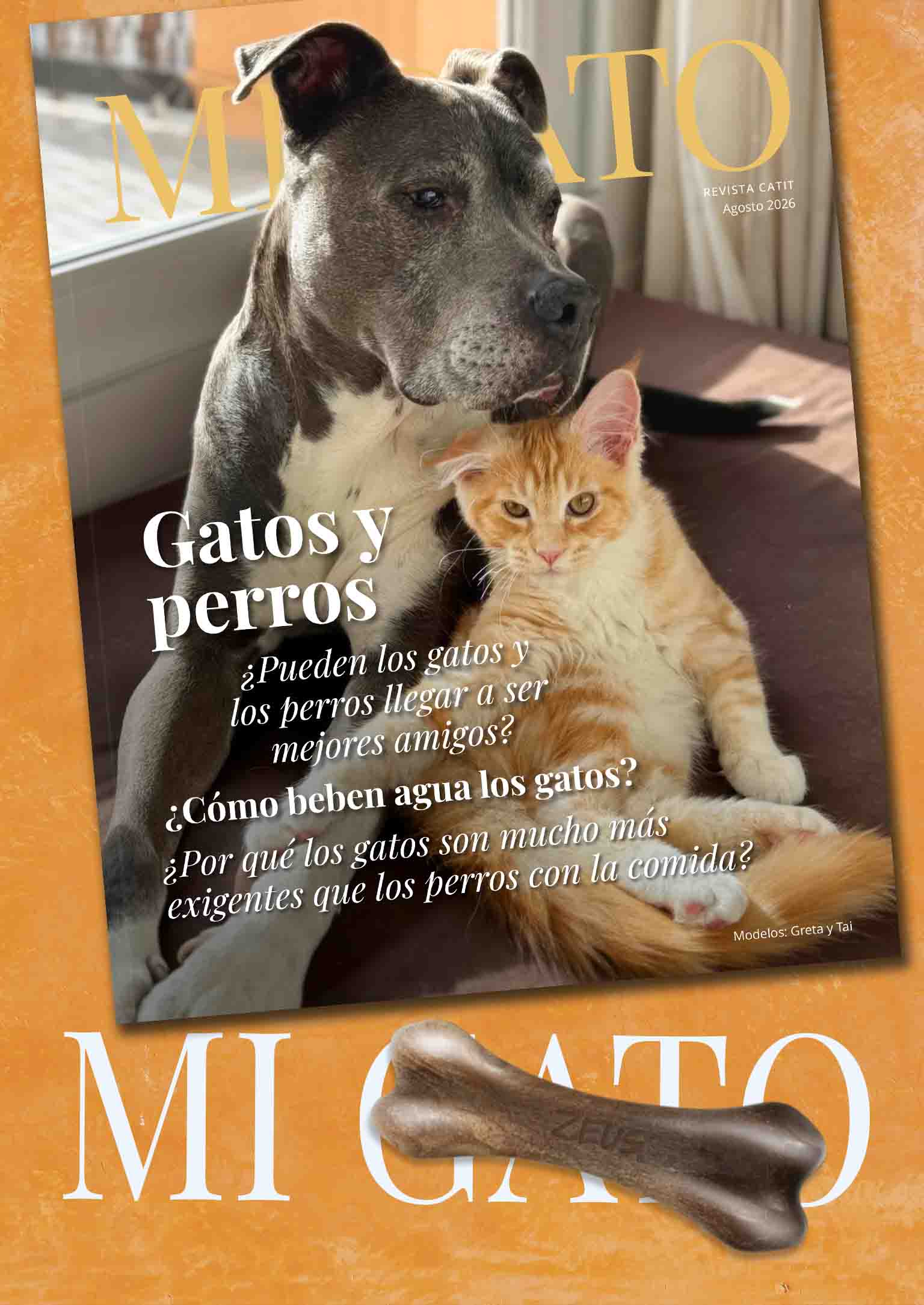 Banner de la edición de agosto de 2026 de la revista Mi Gato con un gato y un perro en la portada.