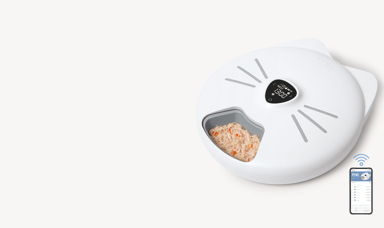 Catit PIXI 6-meal smart feeder with a digital display and a smartphone app showing feeding schedules