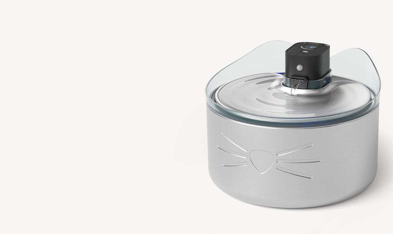 Catit PIXI stainless steel drinking fountain with a cat-themed design and UVC light feature