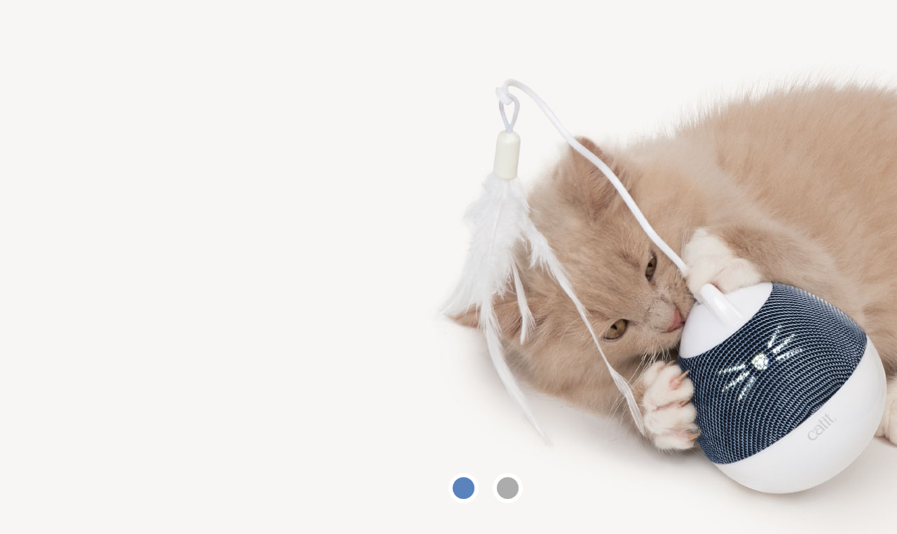 A fluffy kitten playing with a blue and white Catit PIXI Spinner toy with a feather attachment