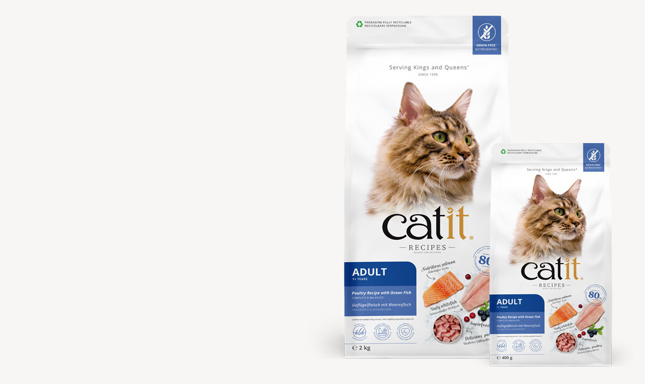 Two bags of Catit Recipes Adult dry cat food in 2kg and 400g sizes, featuring a poultry and ocean fish recipe