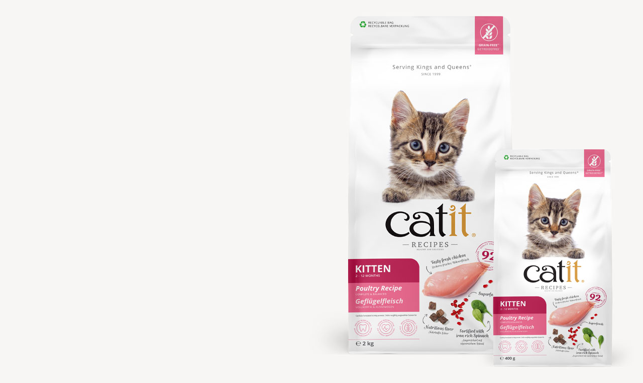 Two bags of Catit Recipes Kitten poultry dry cat food in 2kg and 400g sizes