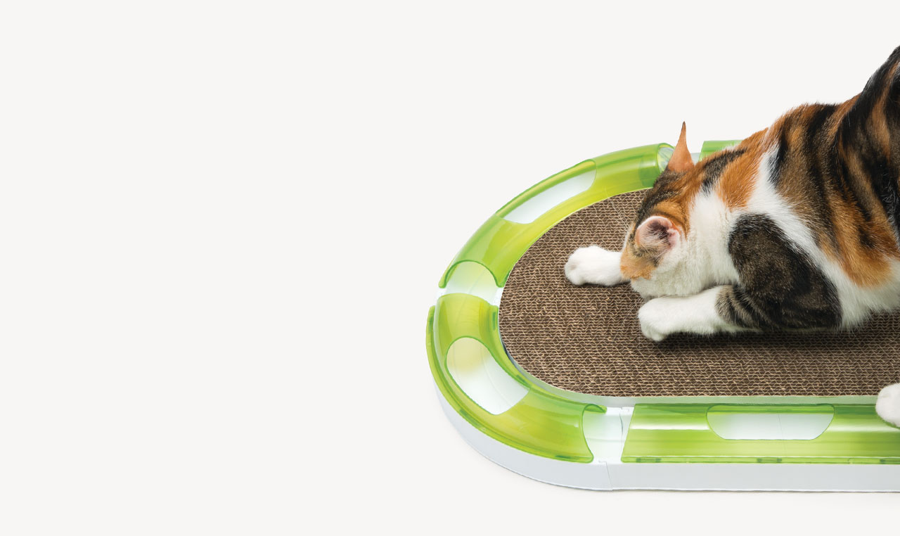 A calico cat playing with a Catit Senses scratcher toy on a white background