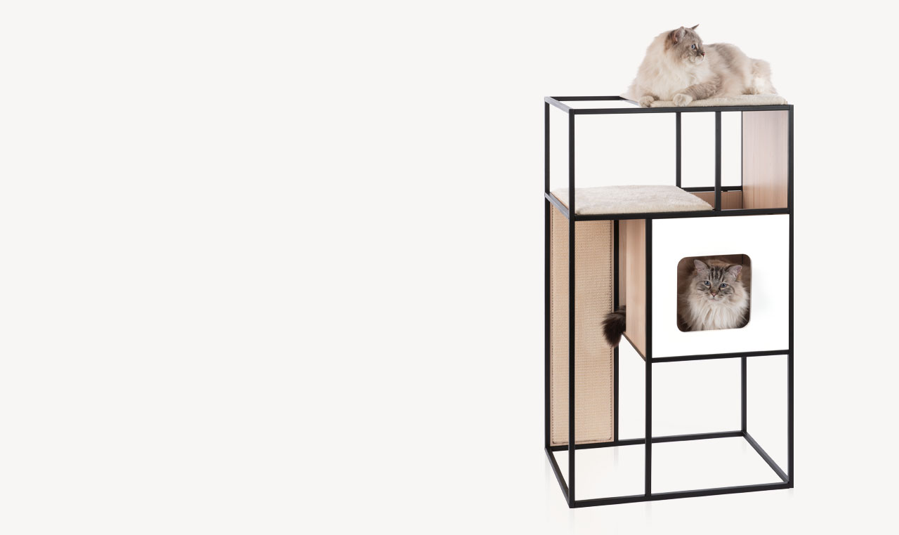 Two cats resting on a modern, multi-level cat tower with a black metal frame, wooden cubby, and scratching panel