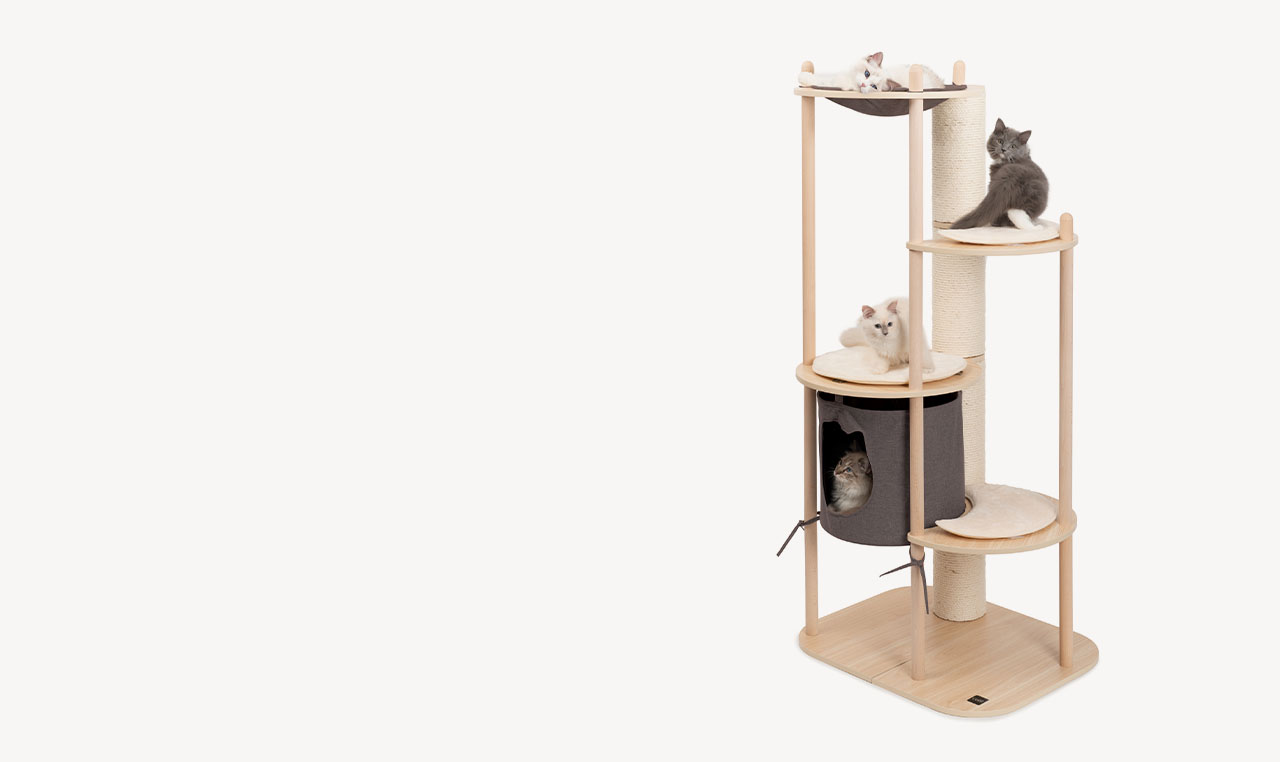 Four cats lounging on a modern, multi-level wooden cat tree with a fabric hammock and a cozy enclosed den