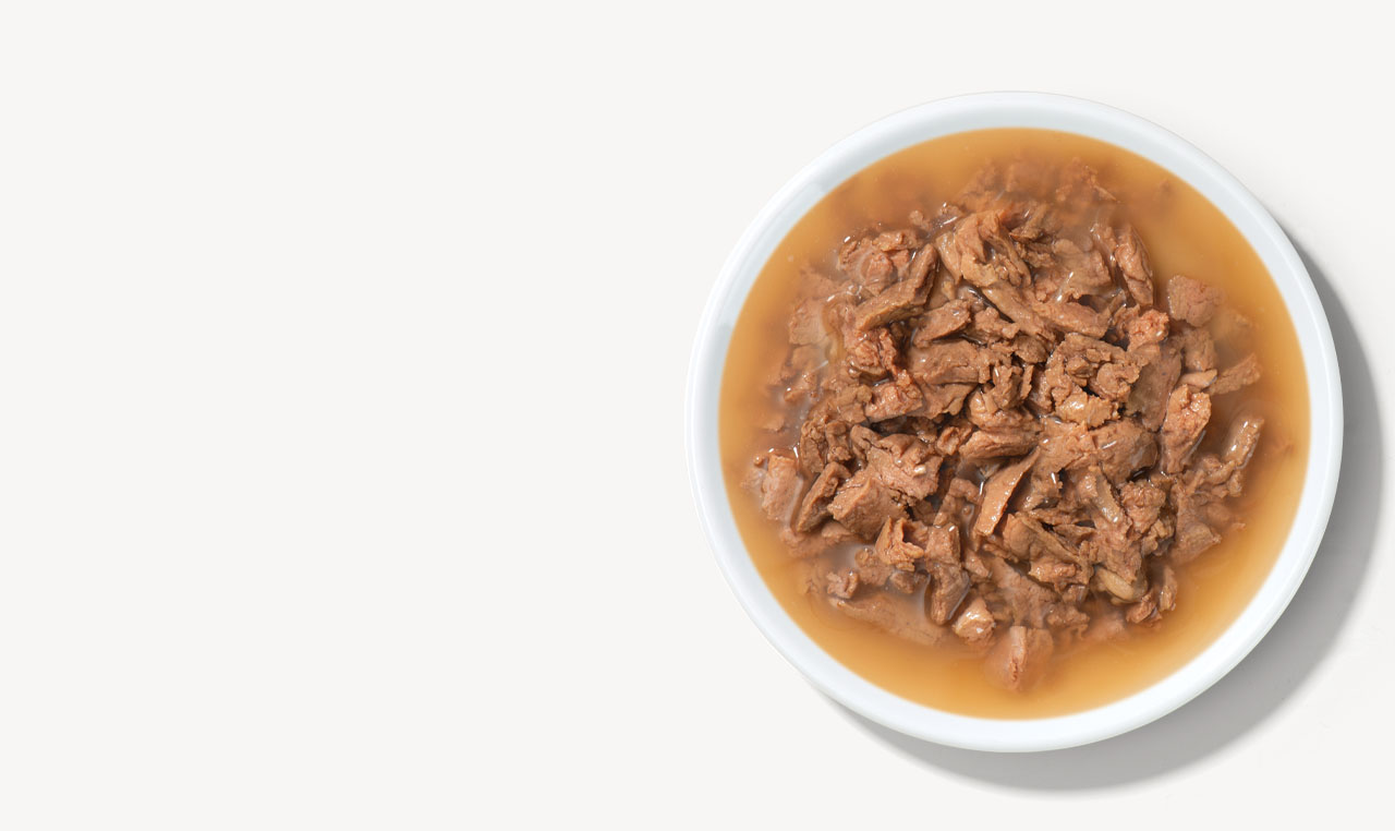 A white bowl filled with wet cat food in gravy