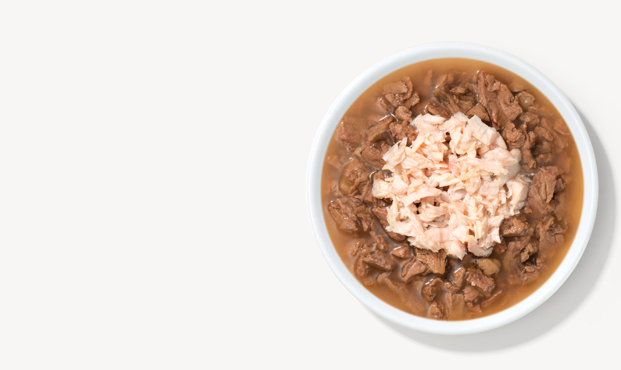 A white bowl filled with wet cat food featuring chunks of meat in gravy topped with shredded tuna