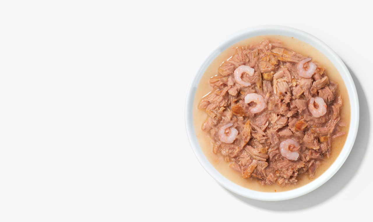 A white bowl filled with shredded tuna and shrimp in broth, intended as cat food
