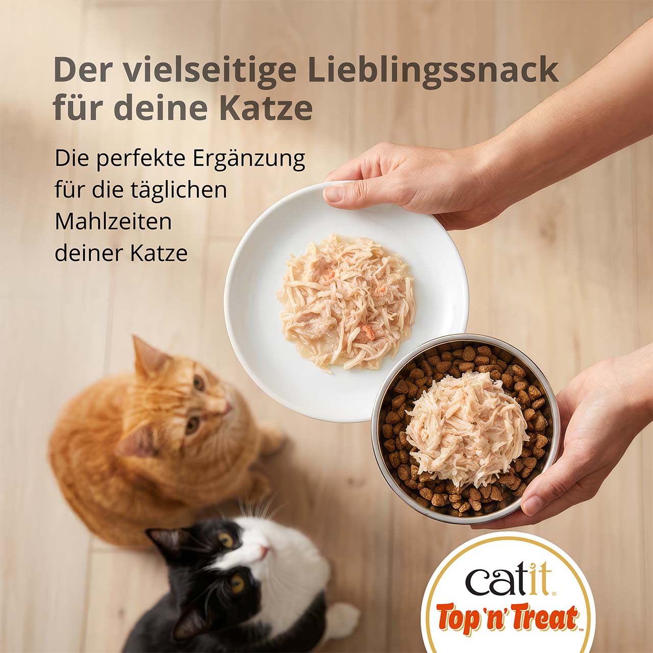 Der vielseitige Lieblingssnack für Katzen
