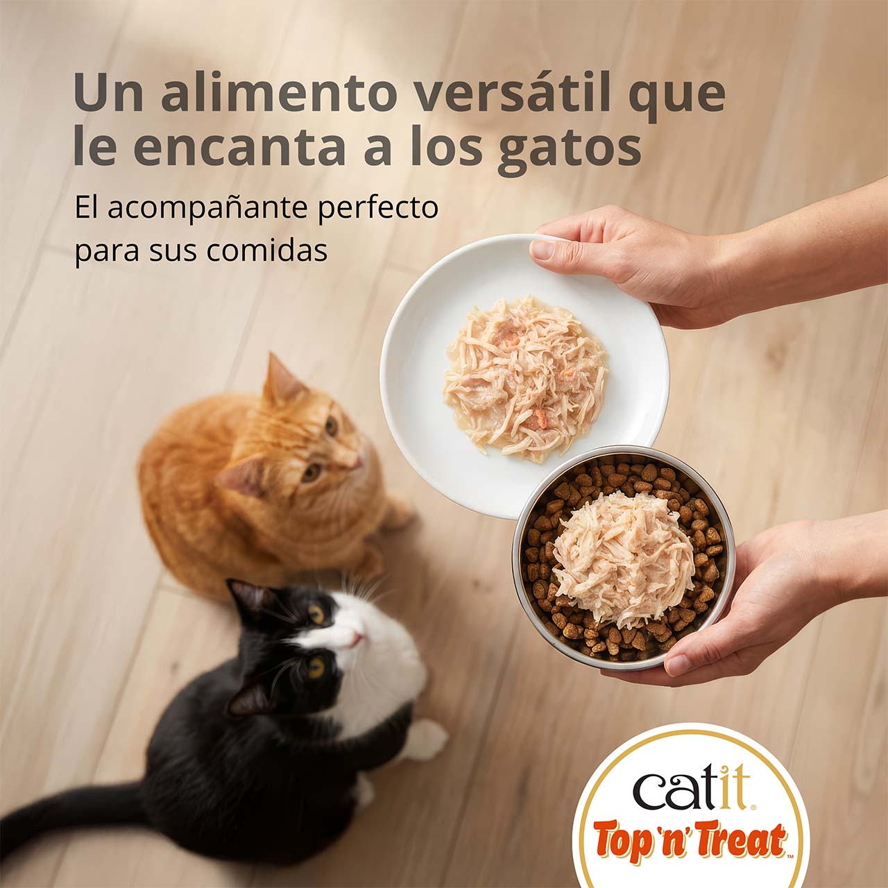 El favorito felino más versátil