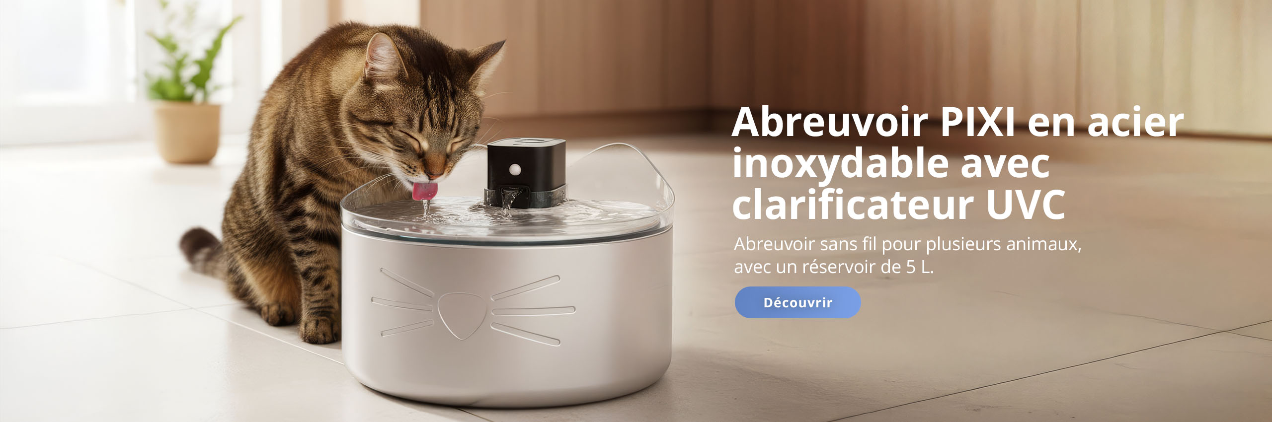 Chat buvant dans une fontaine à eau Catit PIXI UV-C en acier inoxydable dans une cuisine.