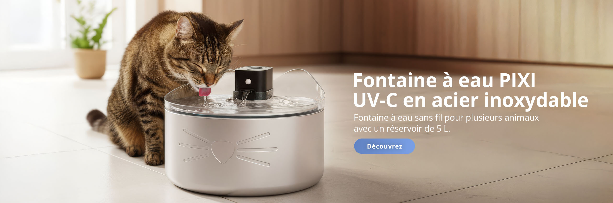 Chat buvant dans une fontaine à eau Catit PIXI UV-C en acier inoxydable, dans une cuisine.