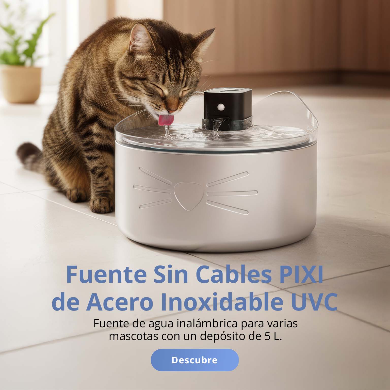 Gato bebiendo de una fuente de agua Catit PIXI UV-C de acero inoxidable en una cocina.