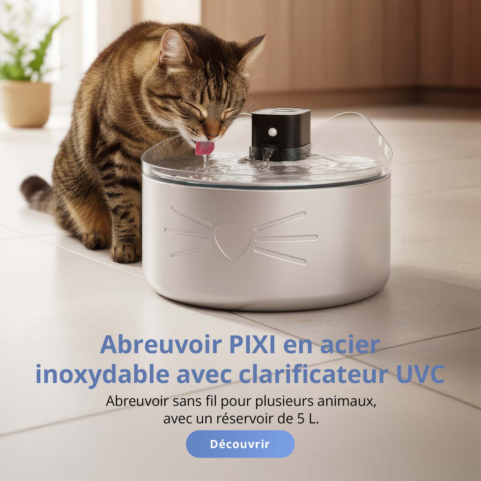 Chat buvant dans une fontaine à eau Catit PIXI UV-C en acier inoxydable dans une cuisine.