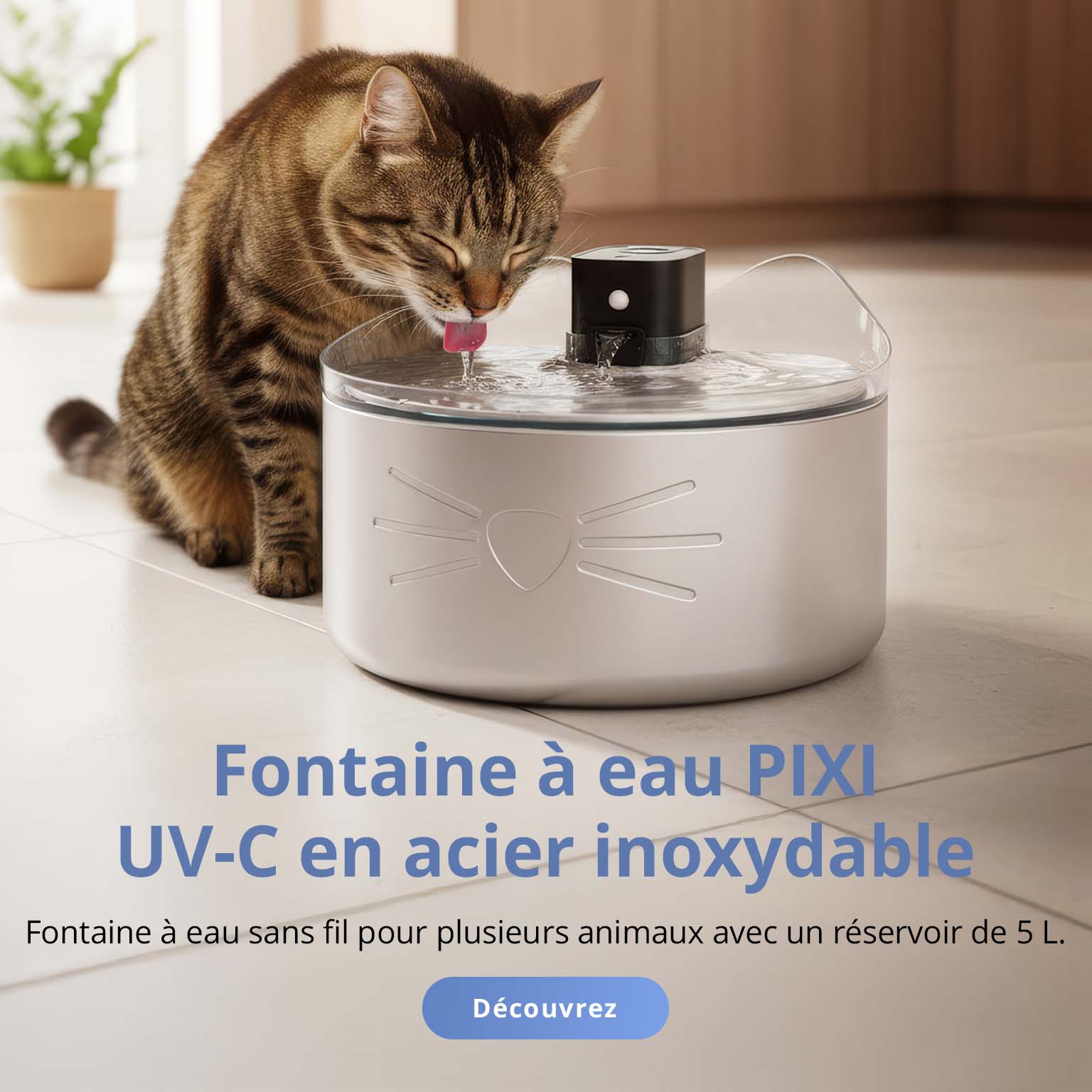 Chat buvant dans une fontaine à eau Catit PIXI UV-C en acier inoxydable, dans une cuisine.