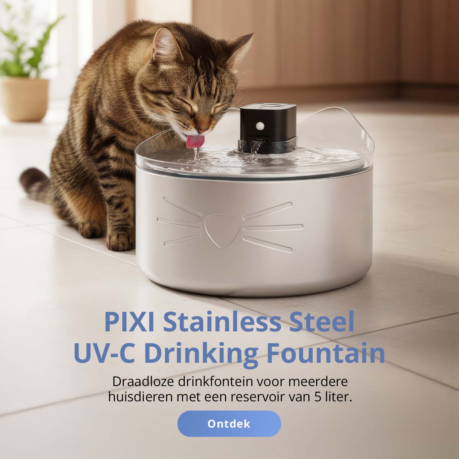 Kat die drinkt uit een Catit PIXI UV-C drinkfontein van roestvrij staal in een keuken.