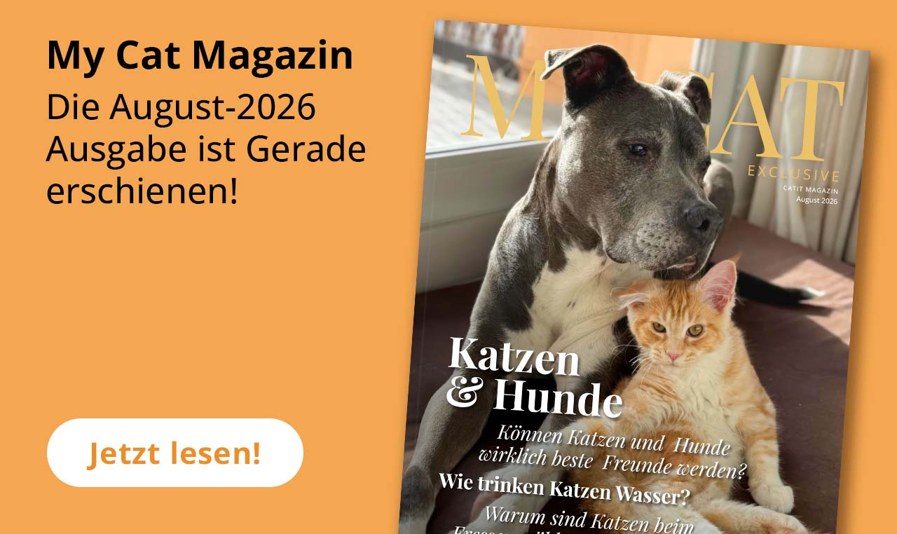 My Cat Magazin - Die August-2026-Ausgabe ist gerade erschienen!