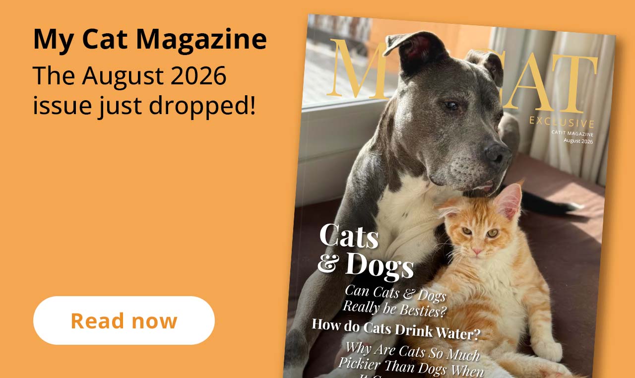 My Cat Magazine - The august 2026 magazine just dropped!