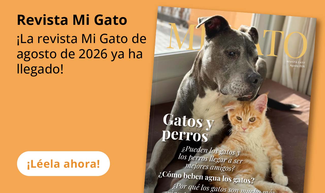 Revista Mi Gato
¡La revista Mi Gato de agosto de 2026 ya ha llegado!