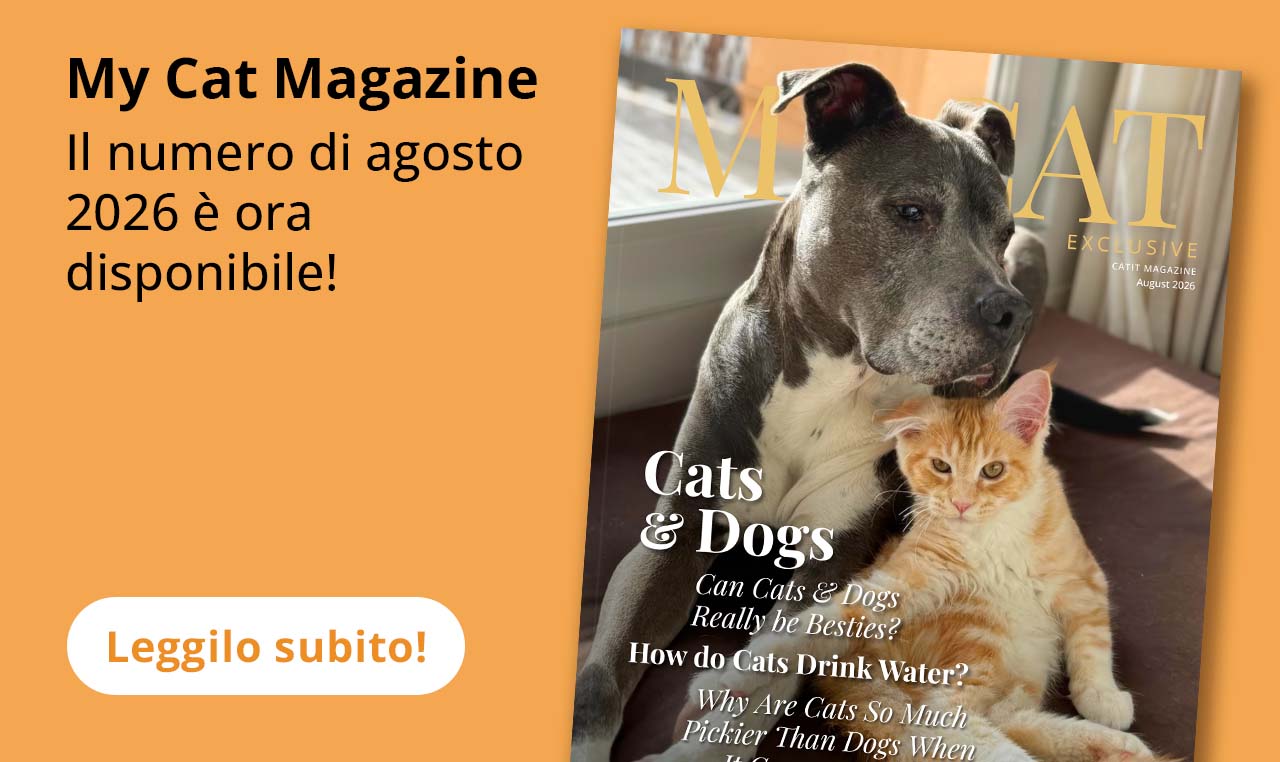 My Cat Magazine
Il numero di agosto
2026 è ora disponibile!