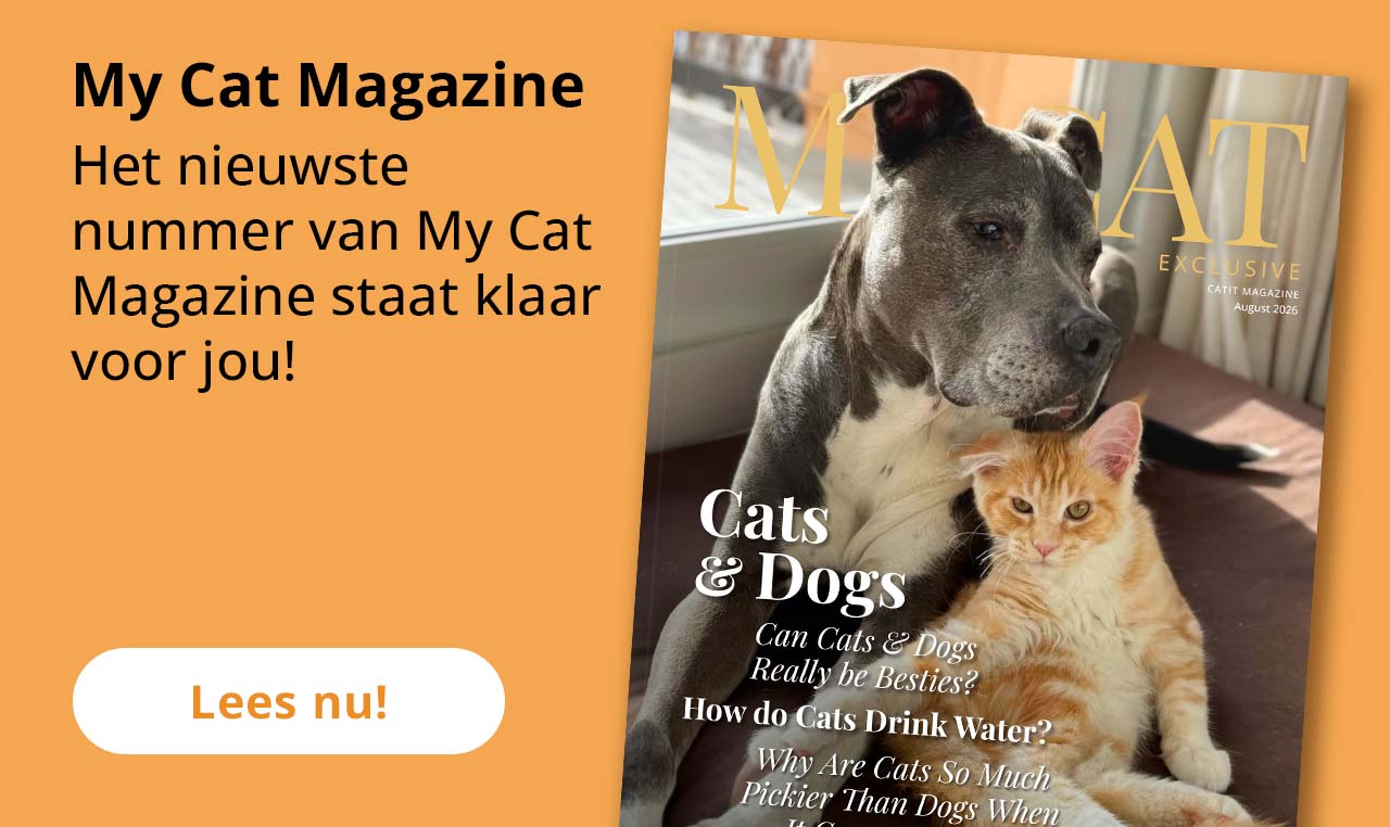 My Cat Magazine
Het nieuwste
nummer van My Cat Magazine staat klaar voor jou!