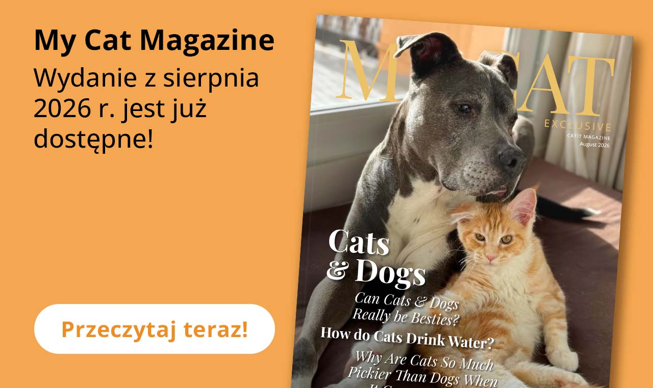 My Cat Magazine Wydanie z sierpnia 2026 r. jest juz dostepne!