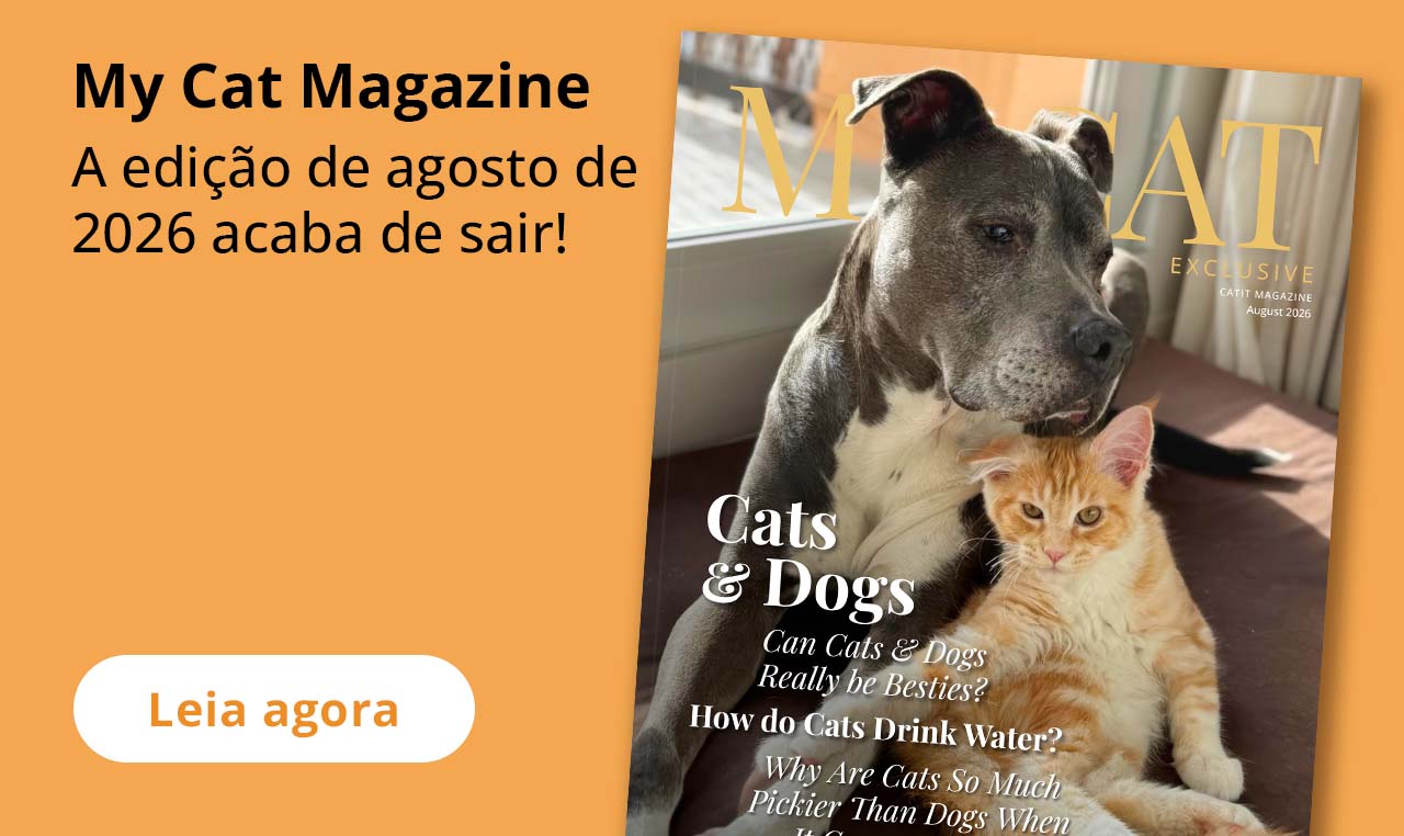 My Cat Magazine
A edição de agosto de 2026 acaba de sair!