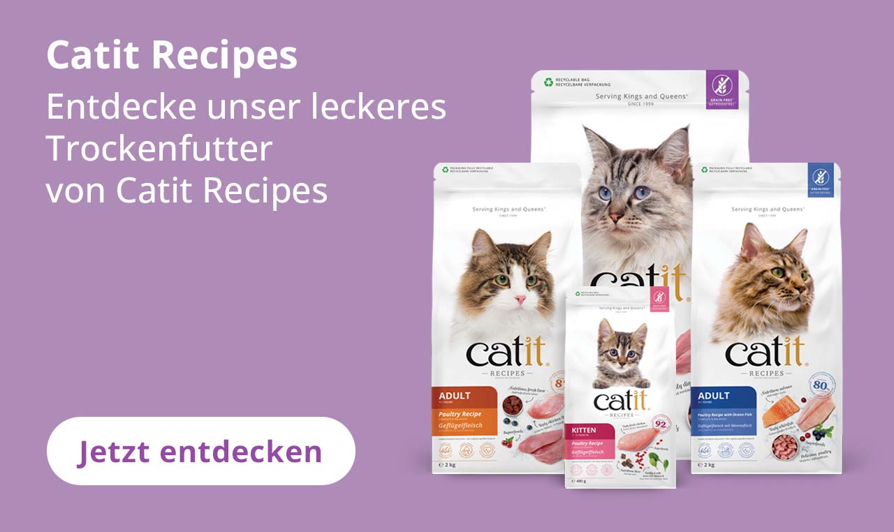 Catit Recipes - Entdecke unser leckeres Trockenfutter von Catit Recipes