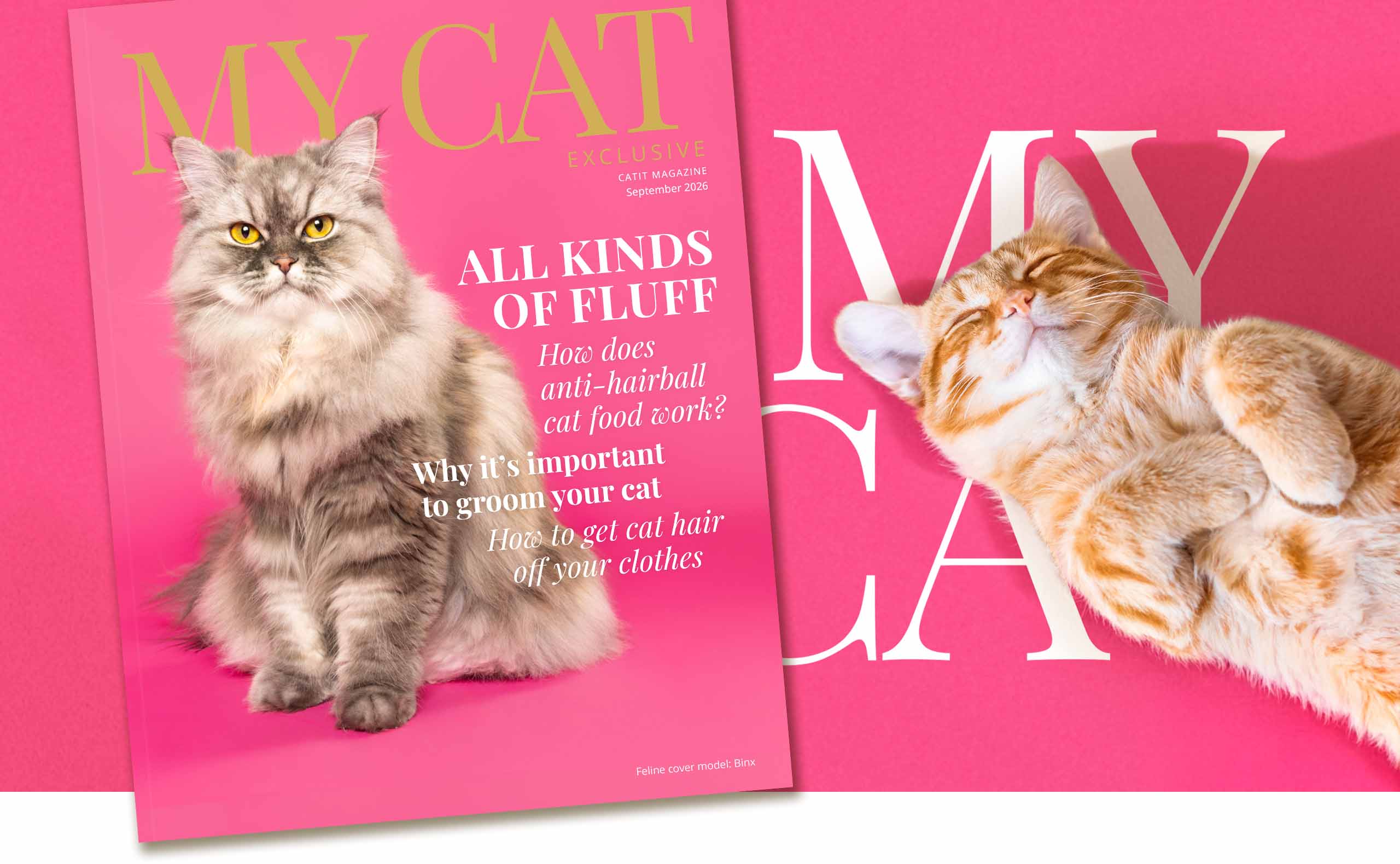 My Cat Magazine cover on a hot pink background featuring a ginger cat lying on the white text ‘My Cat’.