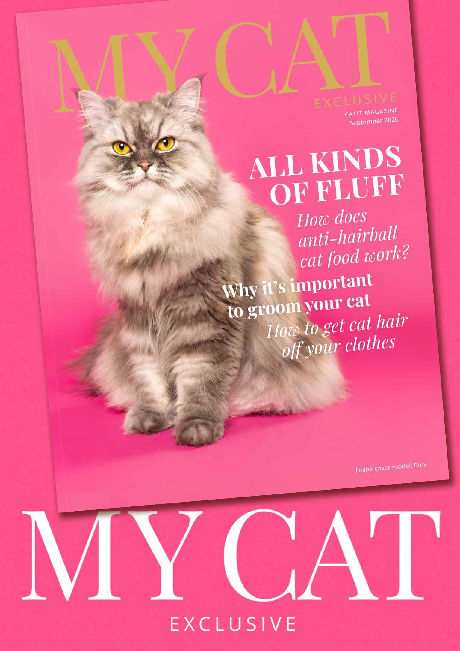 My Cat Magazine cover on a hot pink background featuring the text ‘My Cat’ in white.
