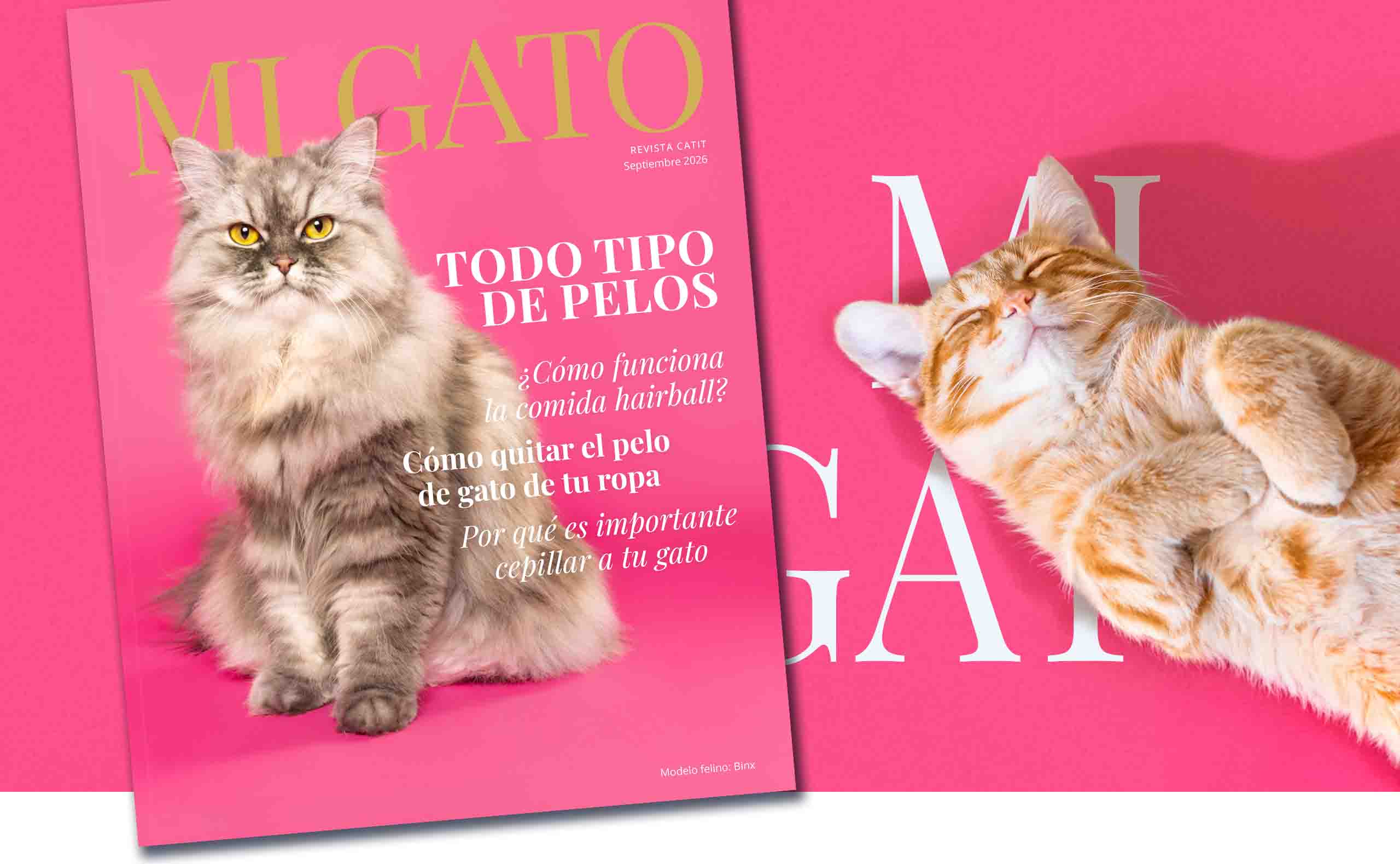 Portada de My Cat Magazine sobre un fondo rosa intenso con un gato pelirrojo tumbado sobre el texto blanco « My Cat »