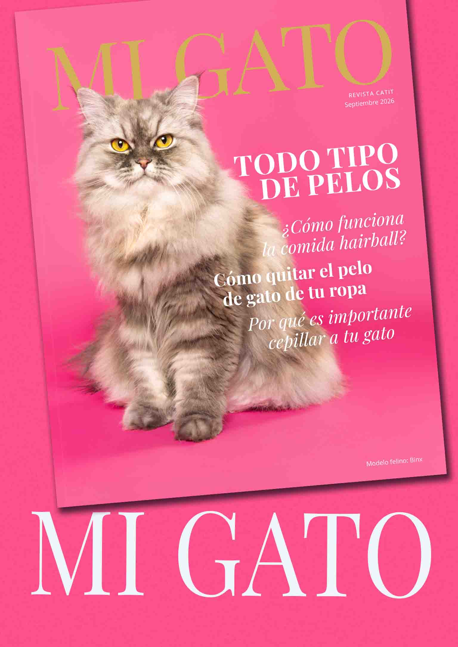 Portada de My Cat Magazine sobre un fondo rosa intenso con el texto « My Cat » en blanco.