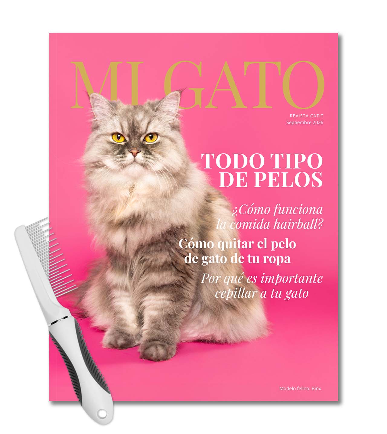 Portada de septiembre de la revista My Cat con un peine del kit de aseo Catit.